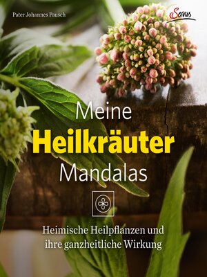 cover image of Meine Heilkräutermandalas
